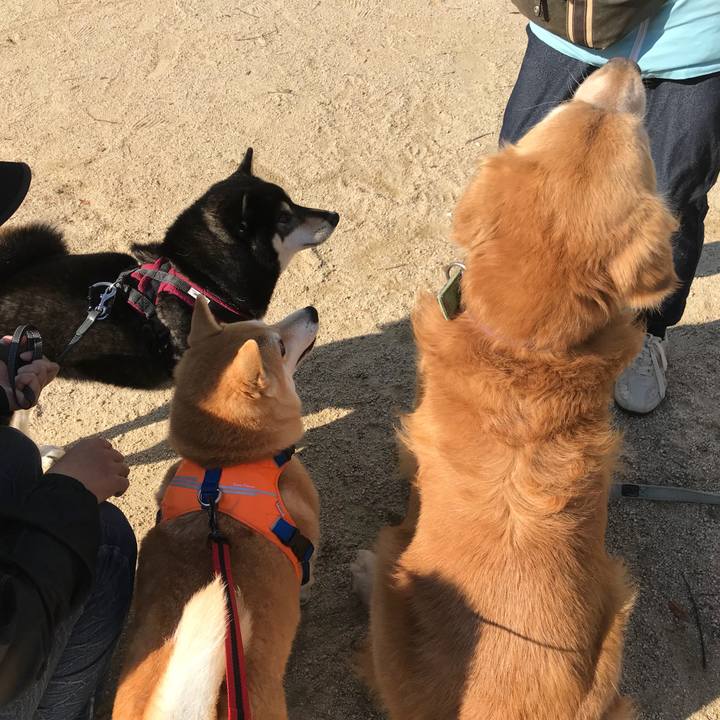 2e949032 8451 4d3b bedc 63fc55684673 1509799721200