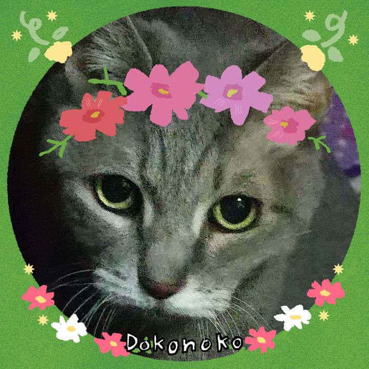 2e94b8db e9f0 4965 854c 775d24bdabc6 1726877582244