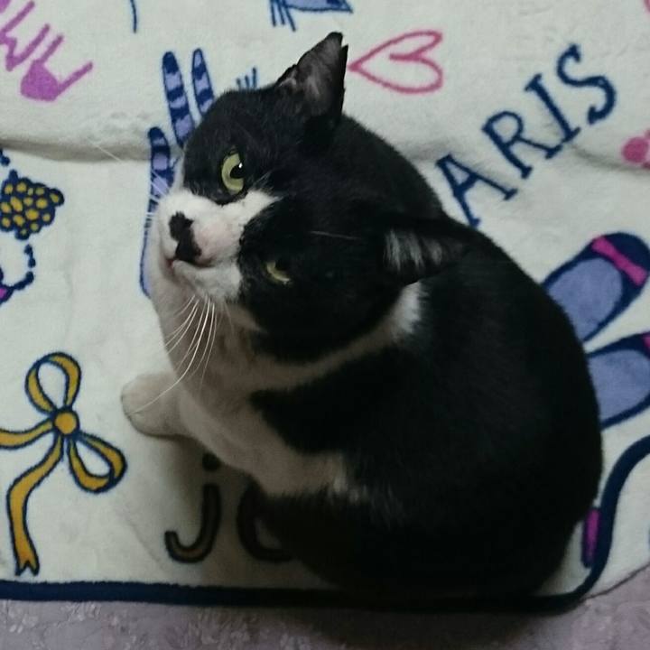 2e94c0f1 d2aa 443e bb9d c9509d4774e2 1519612822106