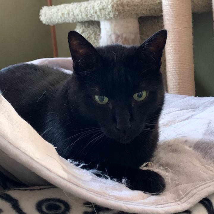 2e94e543 8e9b 444a 8d0b 39252432e03e 1579483672899