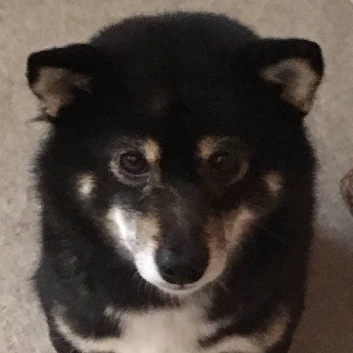 2e94f190 7c12 4dfb a0b9 372142cb4eaa 1511256521012