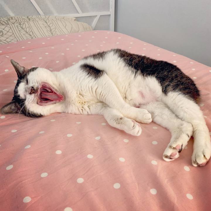 2e950fe7 d76e 464b 9b19 c8d7b7d3953e 1589702873472