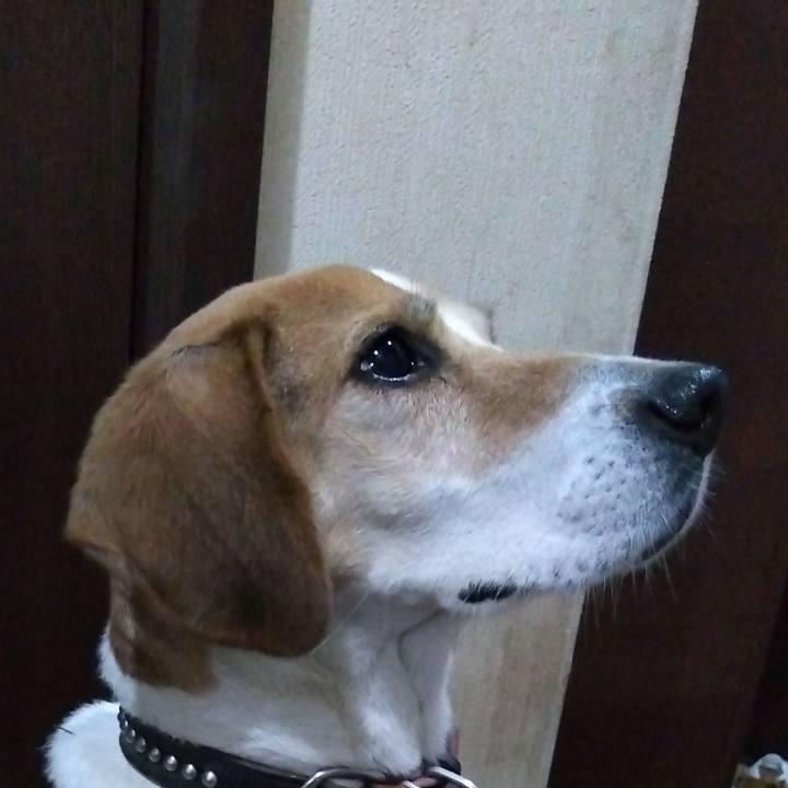 2e951879 5268 4f5b 872a 41836b01f429 1701160182540