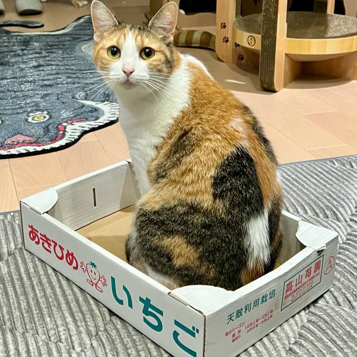 2e952927 7995 45c4 a0b9 c6d1ae34ef21 1759894231806