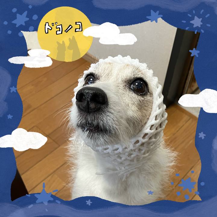 2e957660 a7a4 452a b706 755fac0205de 1726873751677