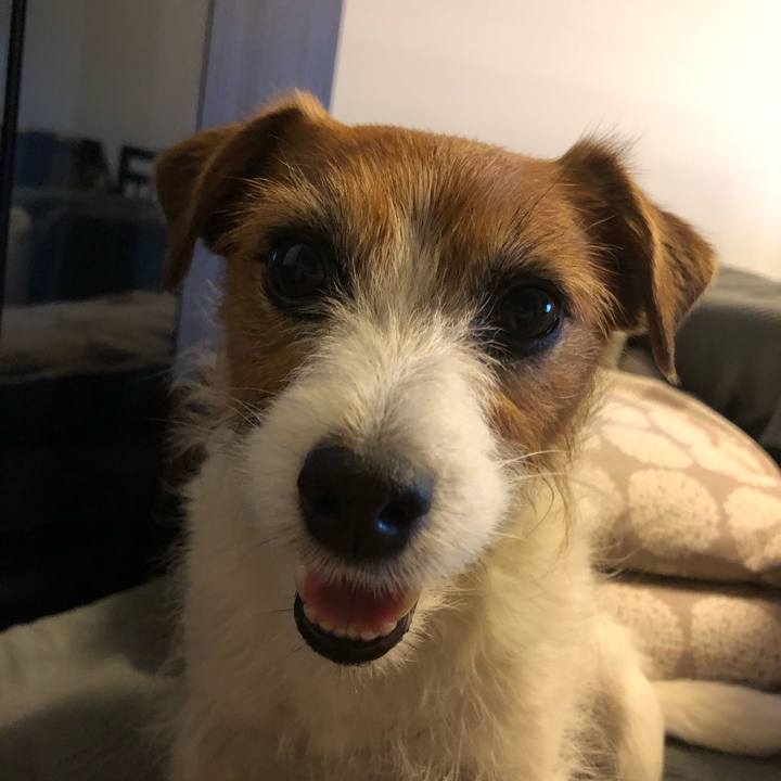 2e95994c b55c 41e8 ba3d 48252e4b4559 1589628016851