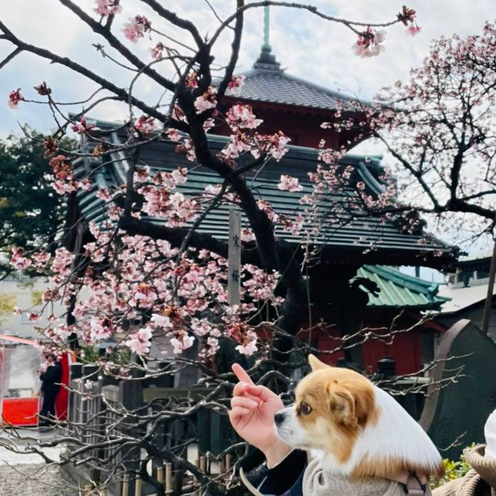 2e959cce 6151 468e 8c6a fdf45008f950 1612165817662