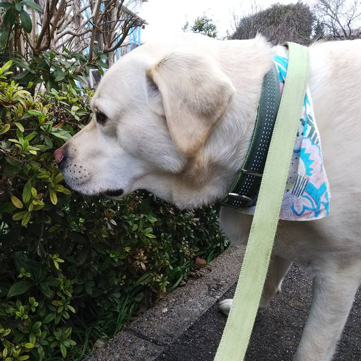 2e959ee5 7306 4b01 b216 7d4d100f6e52 1518407681948