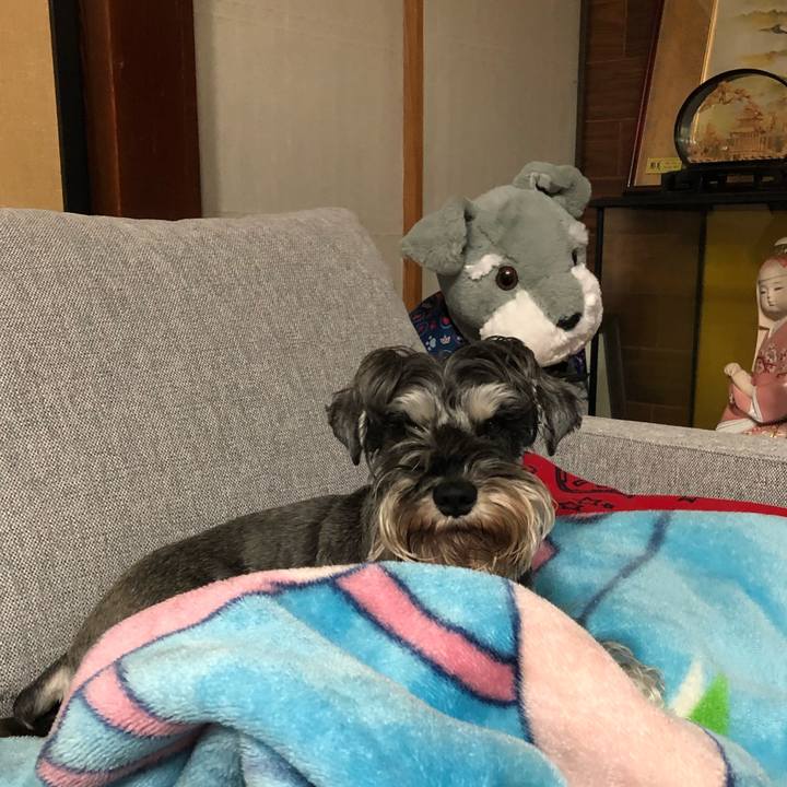 2e95beb6 4f3e 4276 bbcc 4a5a5b65d8f5 1578572714183