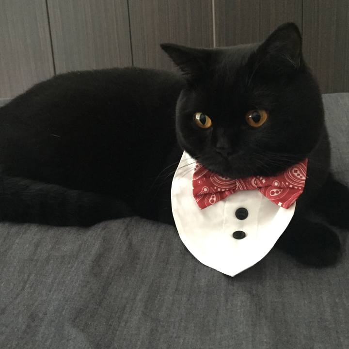 2e95bfa3 51f9 4e9c 8632 c10ed964458c 1508053735328