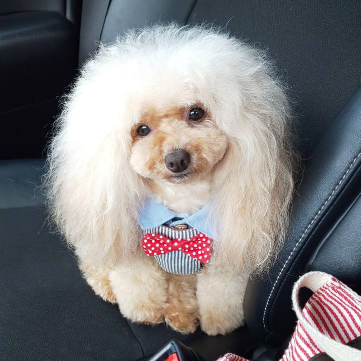 2e95ce17 4e11 4aac b87b f712ea5ebc56 1623747360279