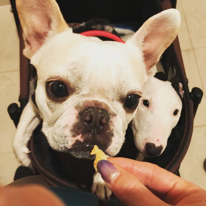 2e95dc6f 4820 4b93 9a0e 06a9e91482f8 1521463565303