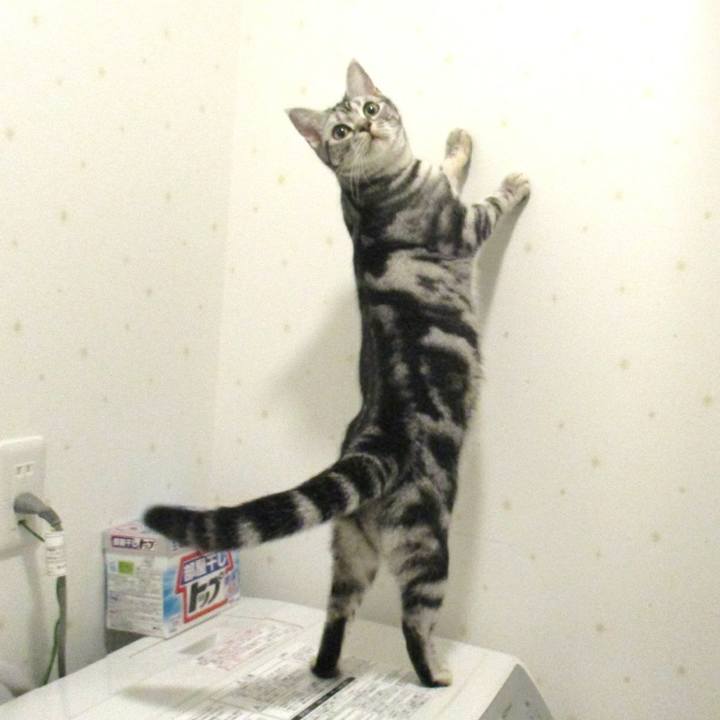 2e95e3e7 8dd7 4392 b7bd 383e359f0258 1548846435691