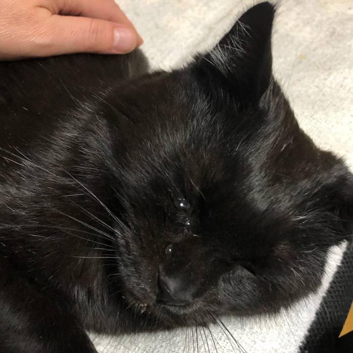 2e961e83 2f55 4770 92bf c22f2b15e949 1610184720275