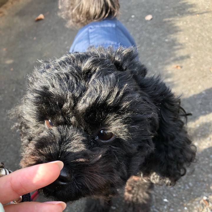 2e962fe9 2aca 459a 8f33 dbdff8ce8694 1545388338961