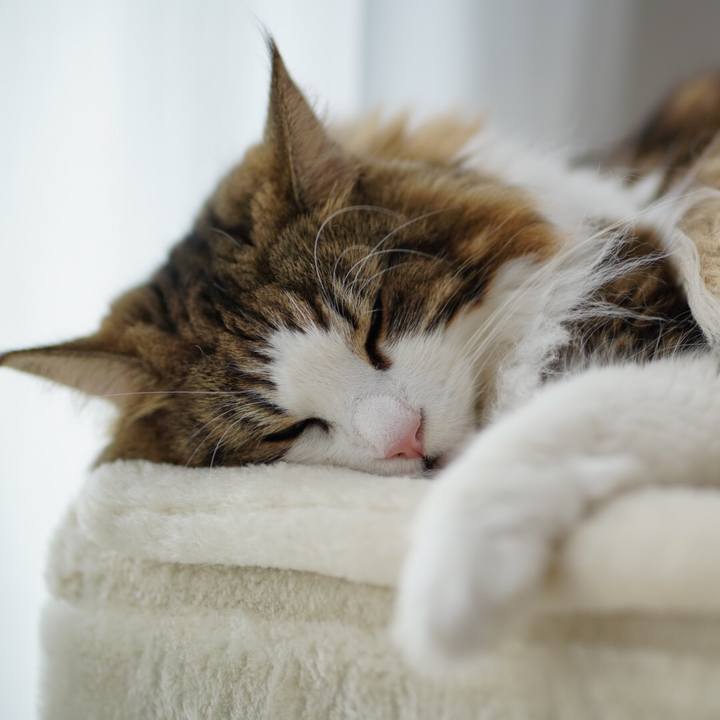 2e965a74 7bbe 4e52 b6c6 28a73accfe52 1662175463748