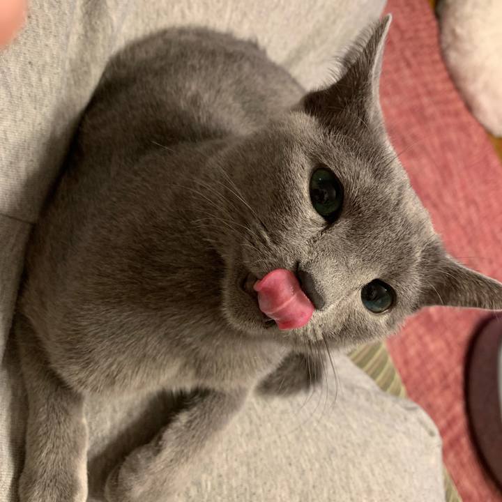 2e96641c 36bf 4843 ac8d d921f486a9c5 1576229444008