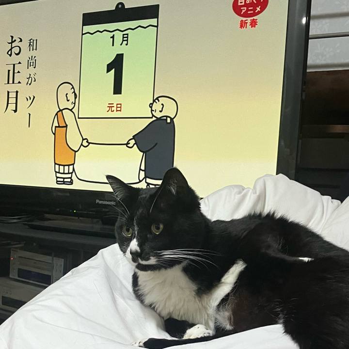 2e970159 f6f8 480d 9c8c e3dd0bd380e0 1767193615064