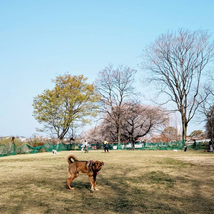 2e9724ec 8842 417e aba3 d3b4a065e8f2 1774750267092