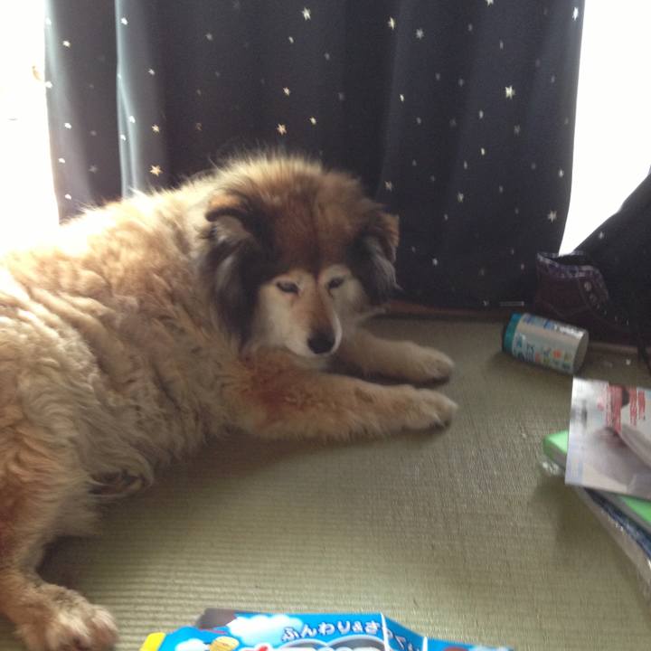 2e9745ec 97e0 4b0c a6c4 eb6aff044b02 1599461855989