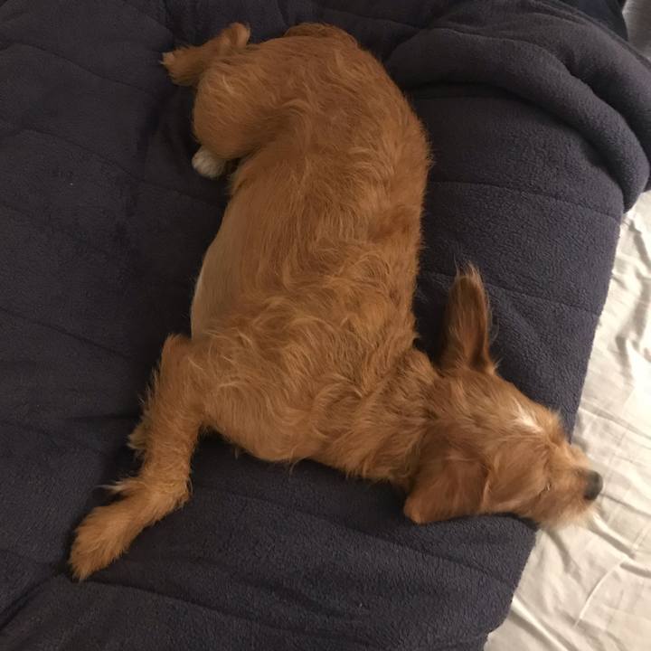 2e975bb6 bff1 4cd1 b77b bf77fc5268d0 1570145174272