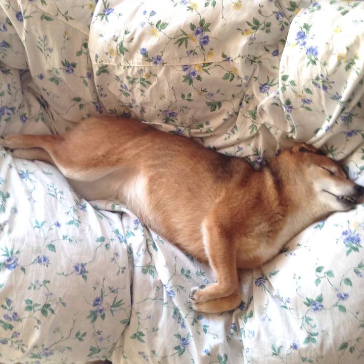 2e97726b f5a7 421a b539 79d1145cb30b 1520922590155