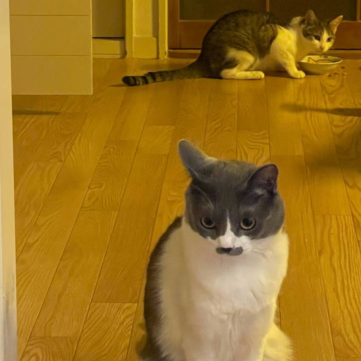 2e979488 3f79 4334 9ca0 d9afc8f70c3a 1624964831128