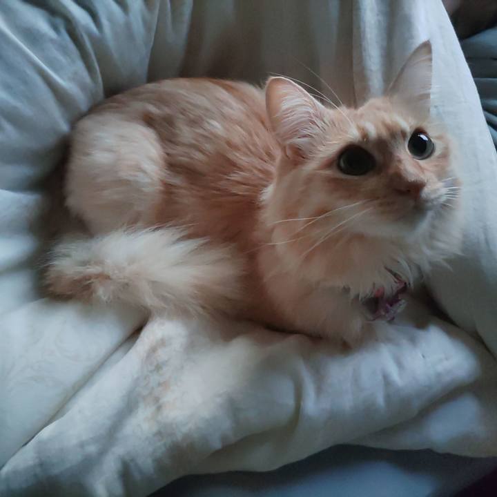 2e9797c6 3cd8 41c2 a10b 3cbf30c4632d 1666129834880