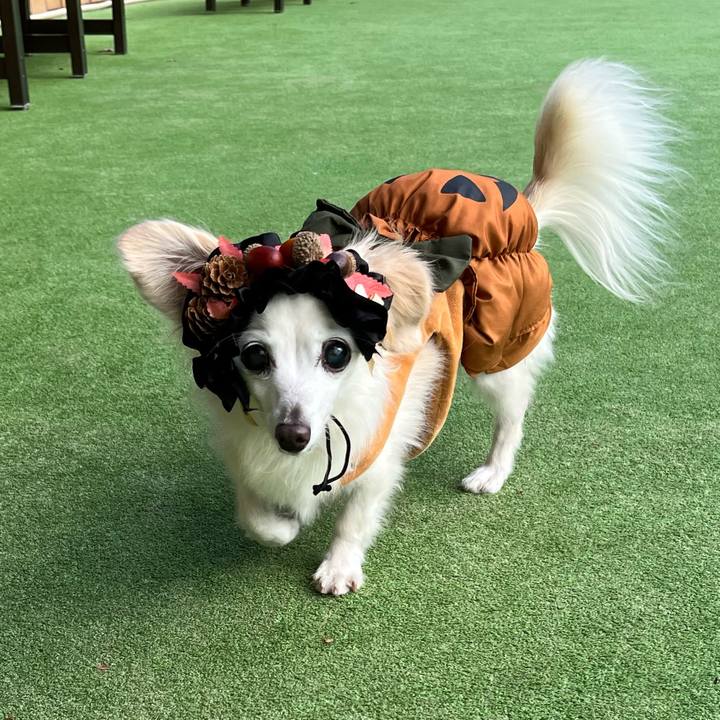 2e979ff8 9a73 442b 9d36 6d06c2dffd30 1761299970399