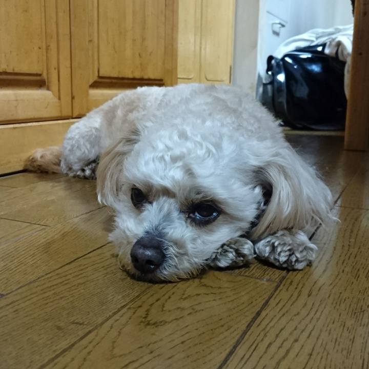 2e97c3a5 43bf 4eba 9469 f043d54dd8f0 1588587576779