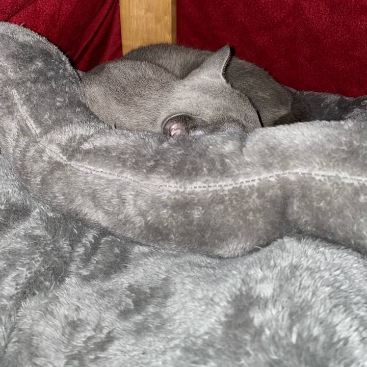 2e97c8ee 1f5b 4e6e 81be cfc009fccf41 1638860209321