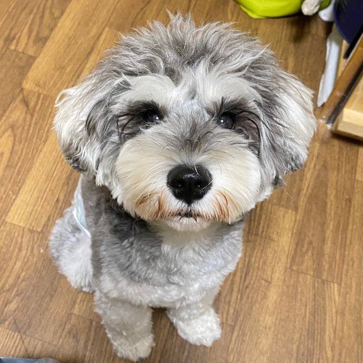 2e98189d ef6f 4888 89e7 b6fd4fdd9396 1598359260161