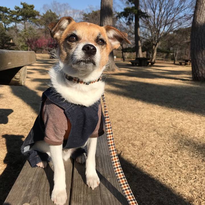 2e983818 4547 4f54 b95f c5994c63ac6b 1551079085218