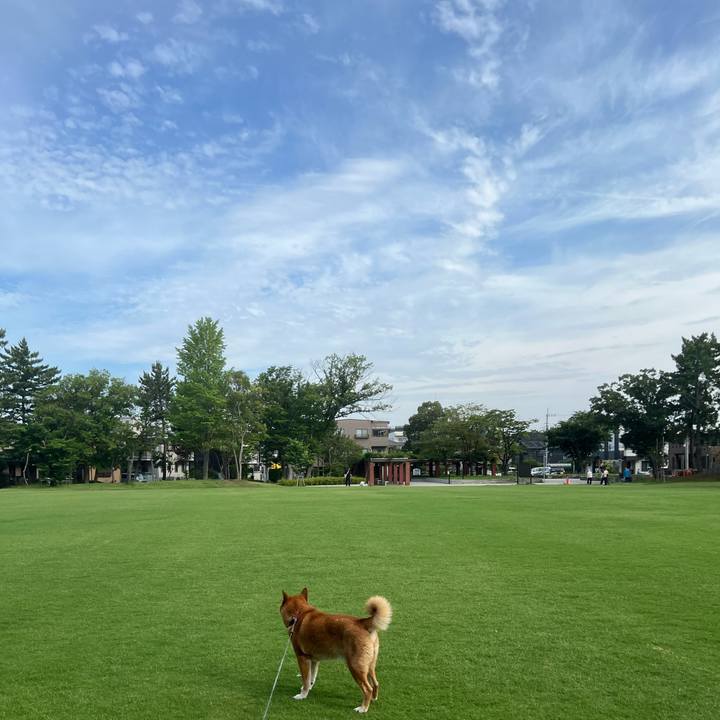 2e9871c1 3178 476d b0a1 9d2592843159 1751077594778