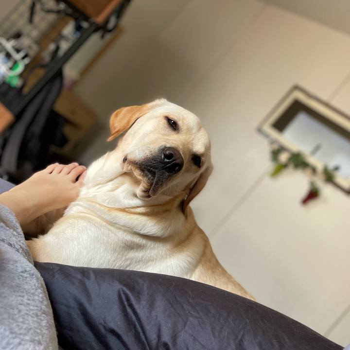 2e98983c 39d2 4d3e 90a4 17fe0f920b17 1644668523334