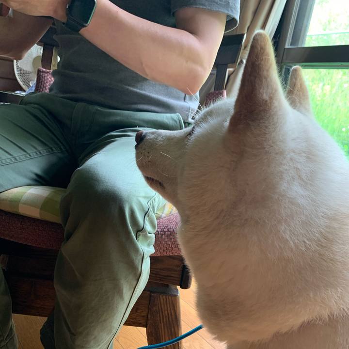 2e98a152 f4d1 48a3 8771 9eb3d99bf153 1595130015549