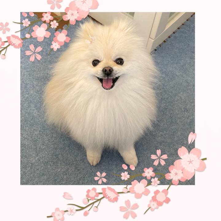 2e98a793 2a80 436f ada8 b6523227dbde 1647385242282