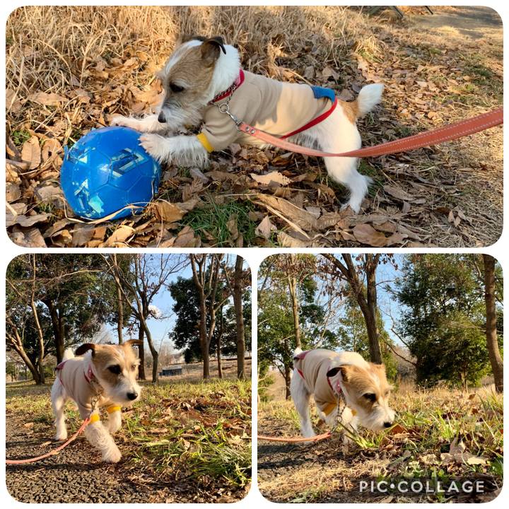 2e98acfa f83d 4c85 ad2e 986911d09661 1610961828087