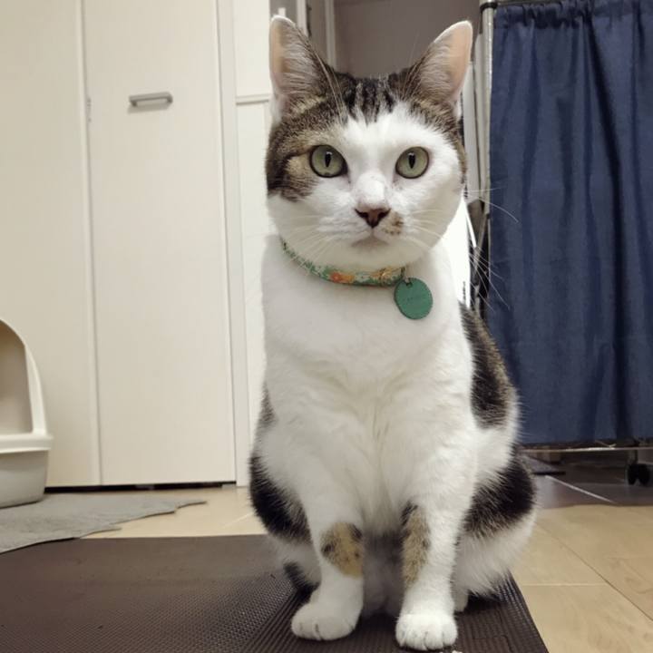 2e992c47 5252 485c 8c49 abbb45babced 1569291134884