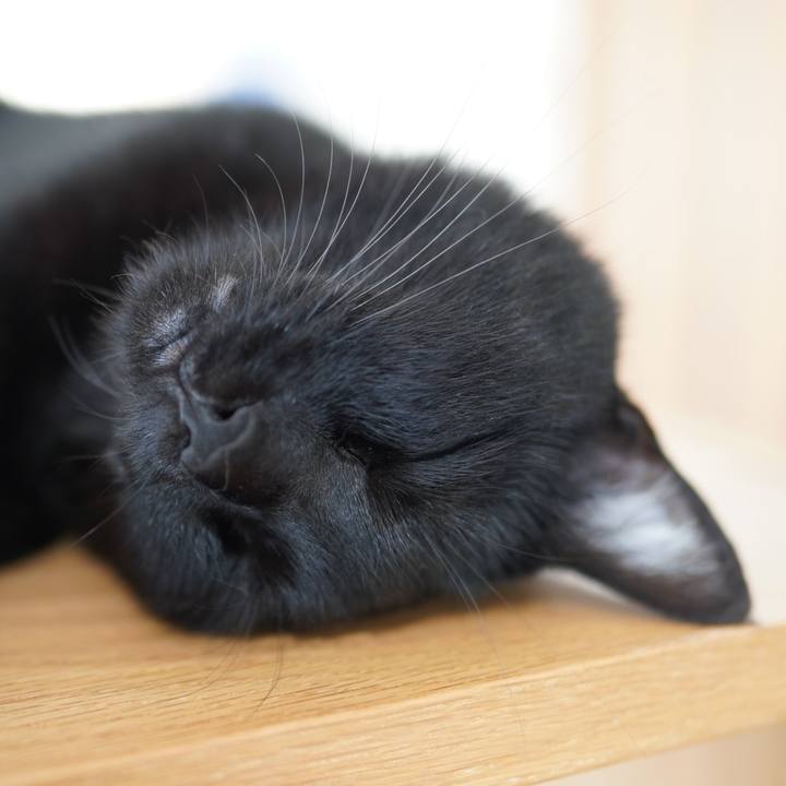 2e99466c 1e83 4795 afa1 d8d7d9322d90 1591454683284