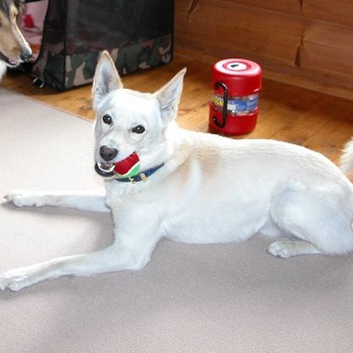 2e995d96 ebaf 4f9c 917e d0c760b2c543 1509021164692