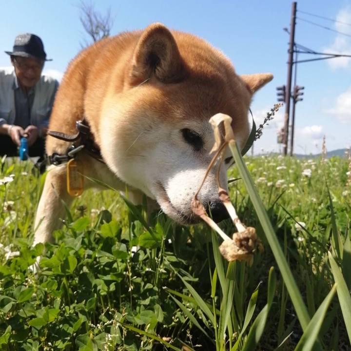 2e99b3d8 be13 4f49 84b9 fe257c9a9a2a 1590109947775