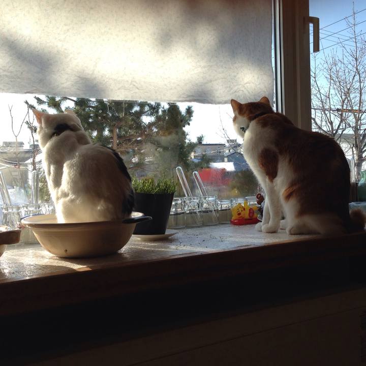 2e99c4ae 5052 4d2b 901d 9d0e212a778d 1520031527511