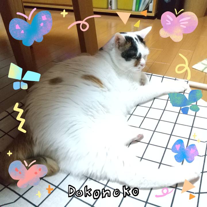 2e99f485 ccc4 4b95 b957 83cfcc91c997 1711015374129