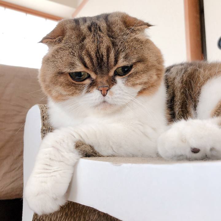 2e9a0ee9 0e68 4c64 ae20 697ce1aa3ea5 1567141788671