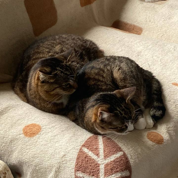 2e9a0f58 6466 459d badd 781f1ab37615 1684026136266