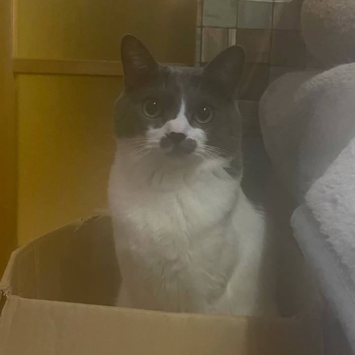 2e9a1e28 85f2 45a5 8c53 ba2868abd219 1628676308470