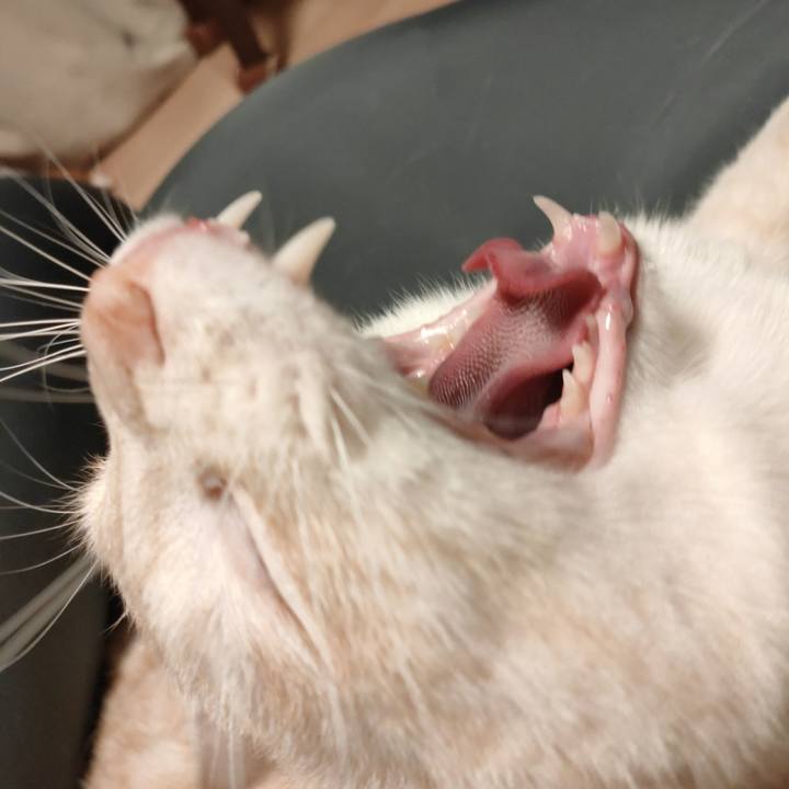 2e9a890f 2f1b 4ded 97a2 8bf193e5cb58 1675519255662