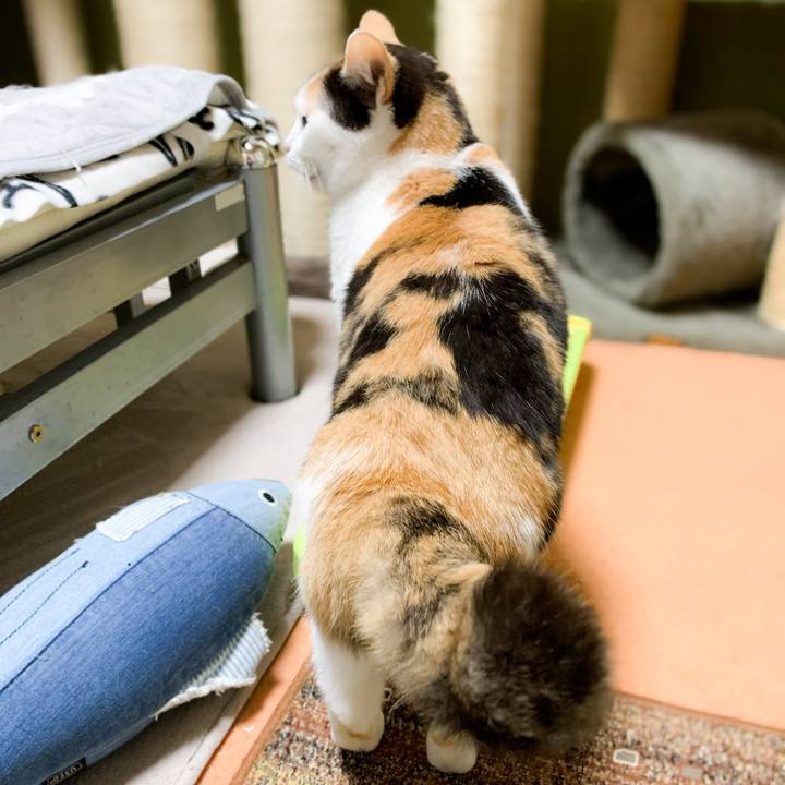 2e9ace13 9a28 4735 a3e7 ac09ff9a1b3d 1591580957898