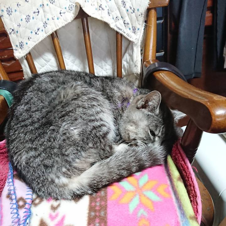 2e9af121 5fae 44ab 80d9 a91109d5fe78 1580598217014